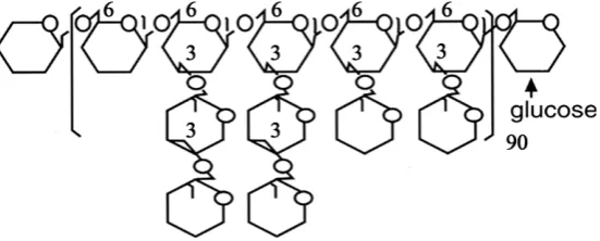 Figure 1. Structure of DF (with β-linkages).                                  