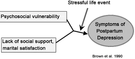 Figure 2. Conceptual model employed for the program, based on the cognitive vulnerability-stress model of postpartum de-pression