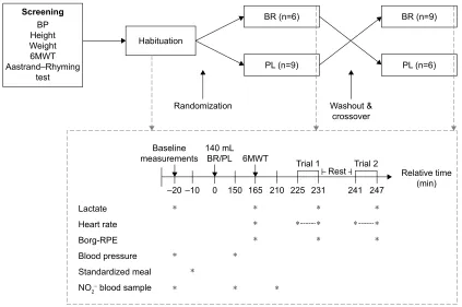 Figure 1 schematic overview of the study protocol (top) and the experimental protocol (bottom) completed during the habituation visit and at day 7 of each intervention period (indicated by dashed arrows).Note: *indicates the time when the measurements were performed.Abbreviations: BP, Blood Pressure; 6MWT, 6-minute walk test; Br, Beetroot juice; Pl, Placebo; Borg-rPe, Borg scale for ratings of perceived exertion; nO2-, nitrite.