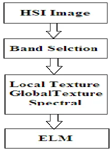 Figure 6 LBP and Gabor Output  