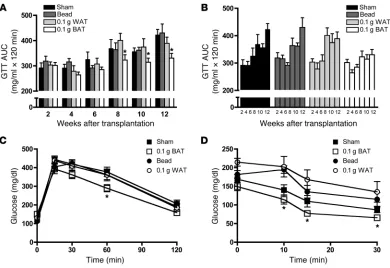 Figure 1BAT transplantation improves glucose tolerance and increases whole body insulin sensitivity