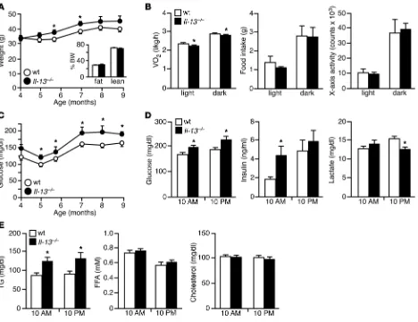 Figure 1Il-13–/– mice show increased body weight and blood glucose levels. (A) Body weight in normal chow–fed WT and Il-13–/– mice (C57BL/6 back-