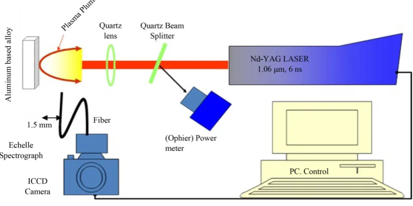 Figure 1. Schematic diagram of the experimental set up.                                                         