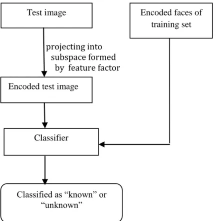 Fig. 3b): Classification of the input face image   