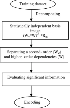 Fig. 4: Decomposing the training face images 