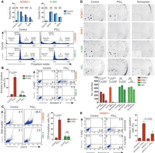 Figure 5Effects of PPARNumbers indicate percentages of cells. (transduced with an shRNA targeting KLF4 or a nontargeting control shRNA were treated with 5 magnification, tion of annexin VNOMO-1 and SKM-1 cells, but not CDX2cells