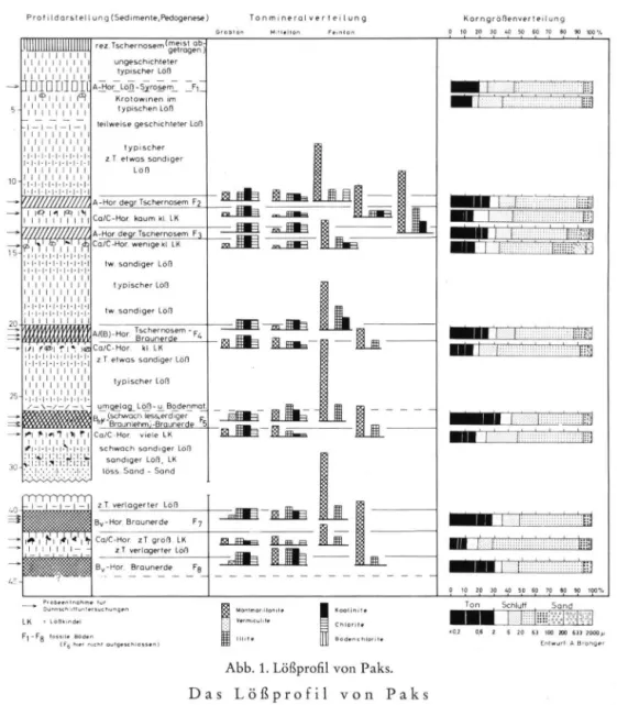 Abb. 1. Lößprofil von Paks. 