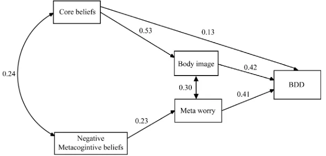 Figure 1. The model of body dysmorphic disorder. 