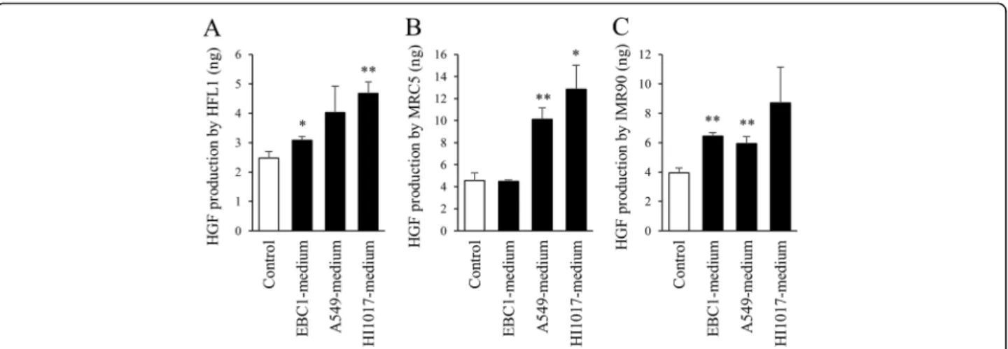 Fig. 6 HGF production in fibroblasts cultured in lung cancer cell-conditioned media. Lung fibroblasts (a: HFL1, b: MRC5, c: IMR90) were incubated in fresh medium (control) or lung cancer cell-conditioned media