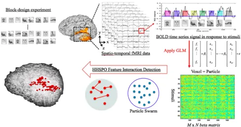 Fig. 1 An illustration of the proposed approach to response patternidentiﬁcation from which a block-design experiment is carried out toexamine visual function of fMRI data