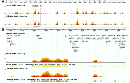 Figure 2.5: UCS (= HCNE, highly conserved non-coding element) density maps from the ANCORA genome browser (Engstrom et al