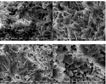 Figure 4. SEM images of alumina-magnesia castables containing SnO2 after firing at 1450˚C × 0 h: (a) AM, (b) Sn1, (c) Sn3 and (d) Sn5