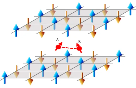 Figure 1.  (Color online) Schematic of the two-qubit systems interacting with common anti-ferromagnetic environment