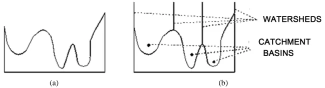 Figure 1. One dimensional example of watershed segmentation. (a) Gray level profile of Im-age data; (b) Watershed segmentation—local minima of gray level (altitude) yield catchment basins; local maxima define the watershed lines (Source: [6])