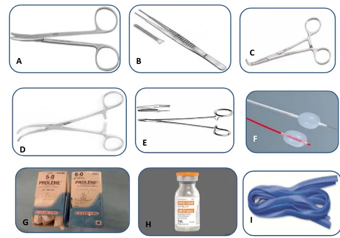 Figure 2. Essential tools for vascular repair. (A) Dissecting scissors, (B) Vascular bens, (C) Right-angle forceps, (D) Vascular clamp, (E) Vascular needle holder, (F) Fogarty catheters, (G) Polypropylene sutures, (H) Heparin, (I) Vessel loops