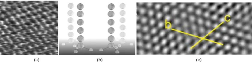 Figure 3. The model of carbyne chain with terminal group H3. Blue balls—carbon atoms, red balls—hydrogen atoms