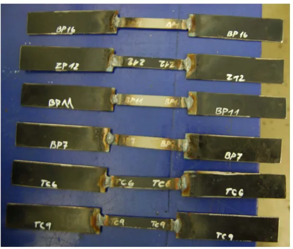 Figure 2. Overview of samples which were subjected to tensile test.          