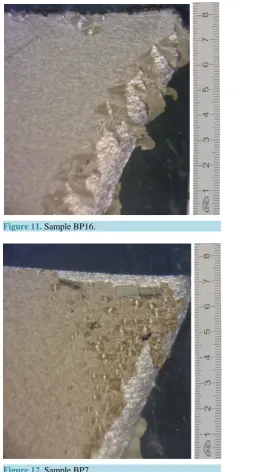 Figure 11. Sample BP16.                              
