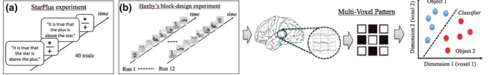 Fig. 1 A demonstration of MVPA of fMRI data in cognitive experiments. Visual stimuli are presented to subjects during experiment tests andfMRI data are collected over time