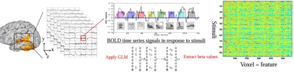 Fig. 2 The feature (beta values) matrix is extracted by applying a general linear model to fMRI BOLD signals