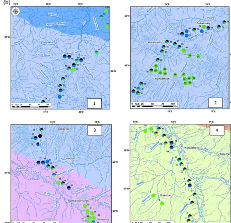 Figure 1. (a) Map of the study site with permafrost boundaries (Brown et al., 2002; http://portal.inter-map.com (NSIDC)), runoff contourlines (Nikitin and Zemtzov, 1986) and sampling points along the latitudinal transect of river basin of the Ob, Pur and T