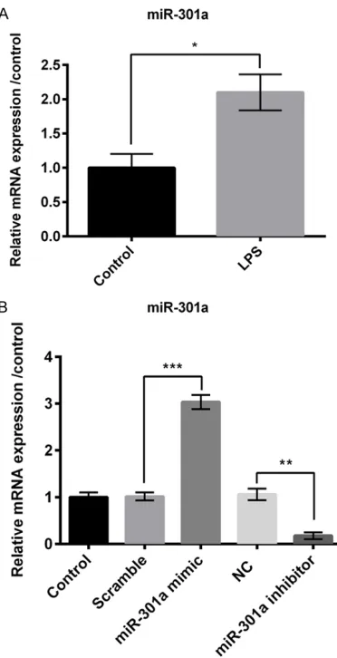 Figure 2. LPS increases the expression of miR-301a. trol cells. *P<0.05, **P<0.01, ***P<0.001