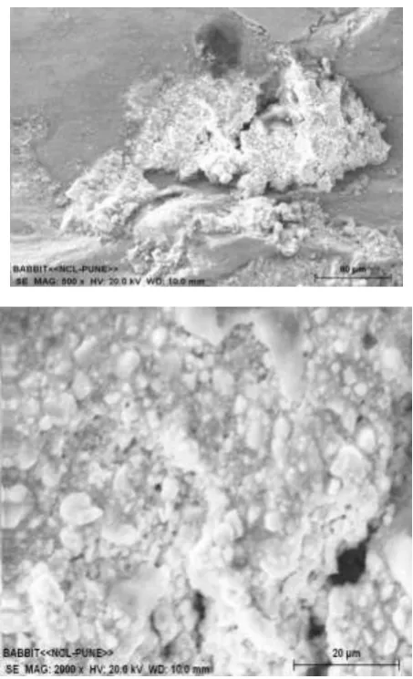 Figure No. 10. Prepared samples for SEM  