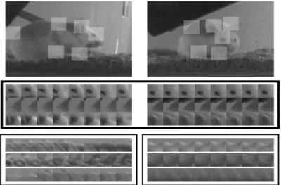 Figure 2.1: Extraction of cuboids from two dierent action instances, even though the posture of the mouse is quite dierent, extracted cuboid patches are similar [18]