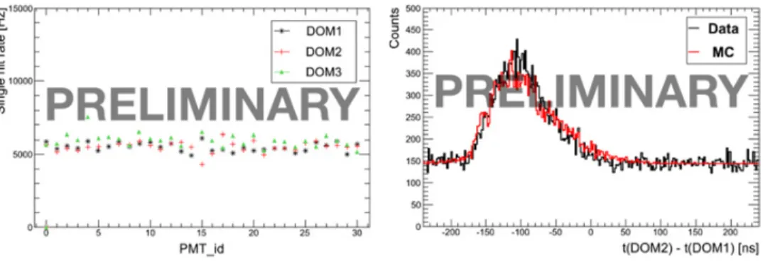 Figure 2. Left: single hit rates for the 31 PMTs of the DOMs. Rates are evaluated from a 30’ run – see text