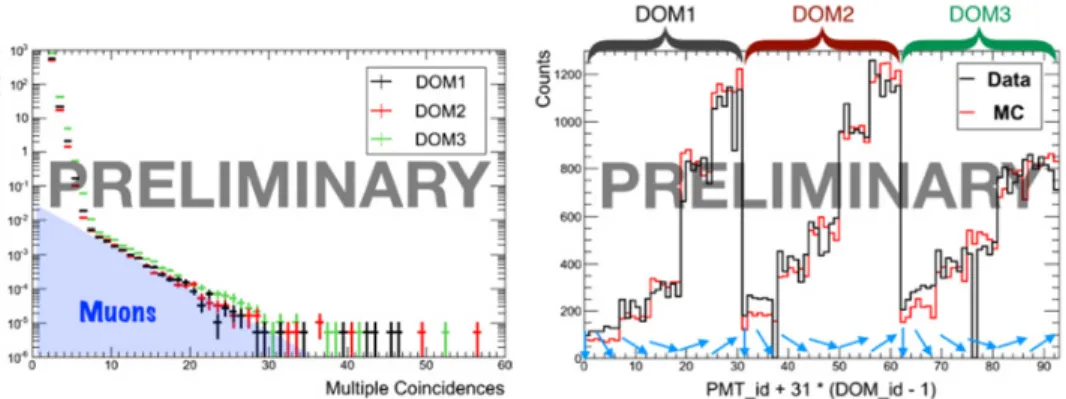 Figure 3. Left: frequency of multiple hit coincidences for the three DOMs from data taken in June-July 2014
