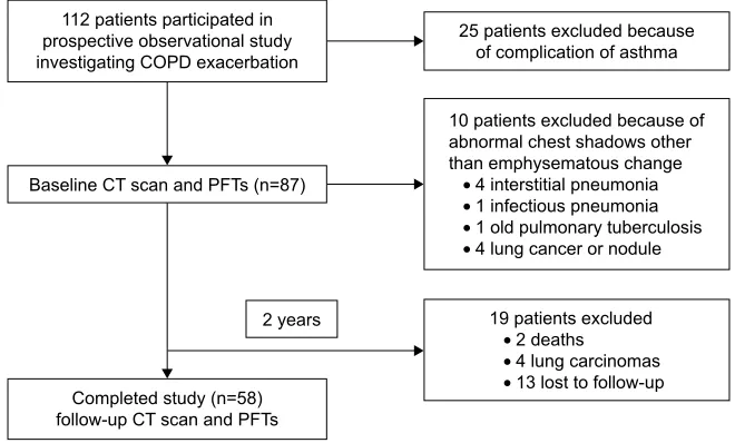 Figure 1 Patient disposition and reason for exclusion.Abbreviations: CT, computed tomography; COPD, chronic obstructive pulmonary disease; PFTs, pulmonary function tests.
