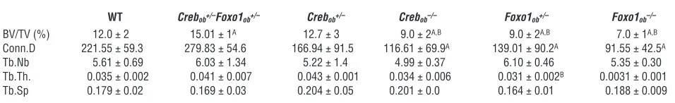 Table 9