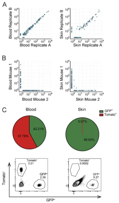 Figure S1. Quality of barcode quantification and analysis of blood-borne T cell contamination in effector-phase skin samples