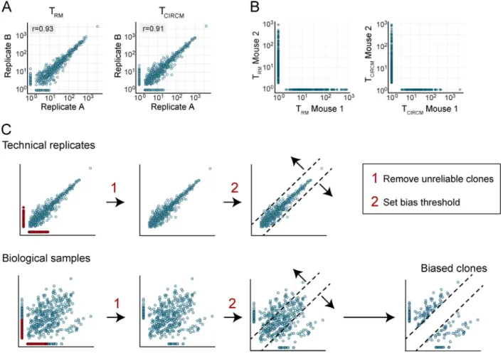Figure S2. Quality control and analyses of the barcode-labeled T RM and T CIRCM compartment