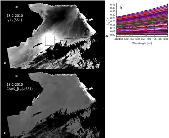 Fig. 8. Rayleigh-corrected radiance1046 Fig. 8. Rayleigh-corrected radiance (a), sun glint spectra (b) and water-leaving radiance (c) from  (a), sun glint spectra (b) and water-leaving radiance (c) from MODIS-Aqua imagery of 18 February 2010(Arabian Sea) processed using the CAAS algorithm.