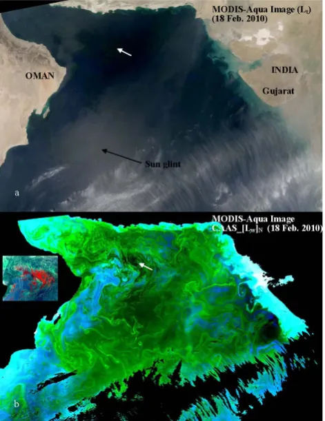 Fig. 2.  are displayed on the left side of the bottom panel conﬁrming highlyconcentrated patches of algal blooms in the northern central Ara-(see a white arrow inserted on the top panel)