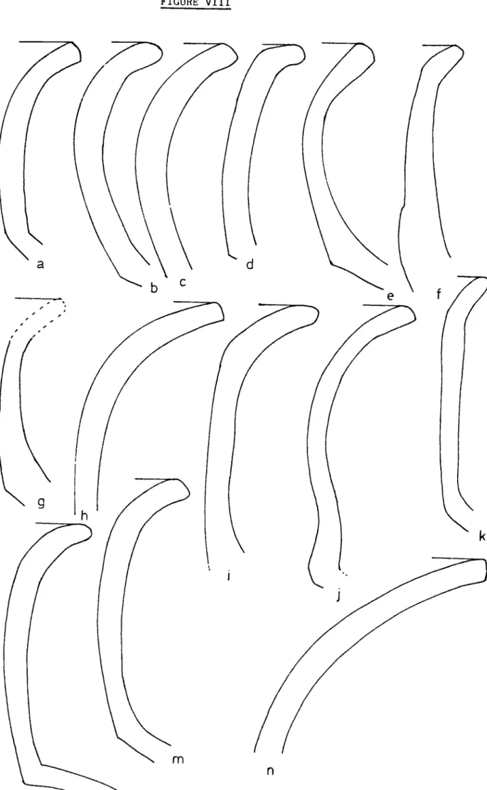 FIGURE VIII