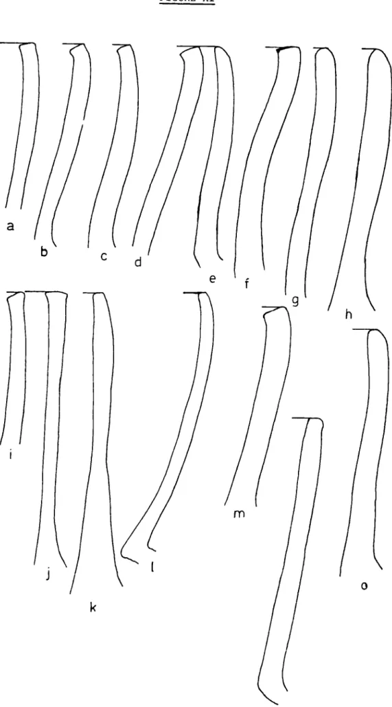 FIGURE XI