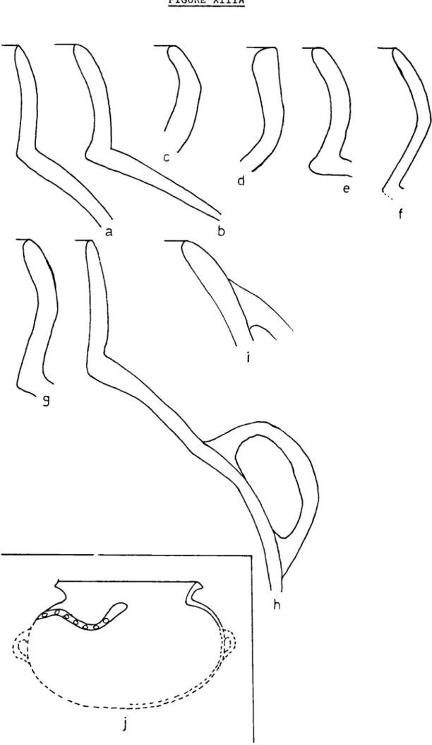 FIGURE XIIIA