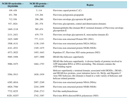 Table 1. Structural and non-structural region of the dengue virus mapped on NCBI nucleotide and protein sequence, DQ181806 is of DENV-2 strains