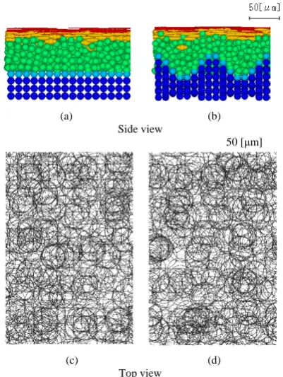 Figure 4. Results of two-dimensional epidermis simulation. (a) Flat model without cell shape complement; (b) Flat model with cell shape complement; (c) Rete ridge model