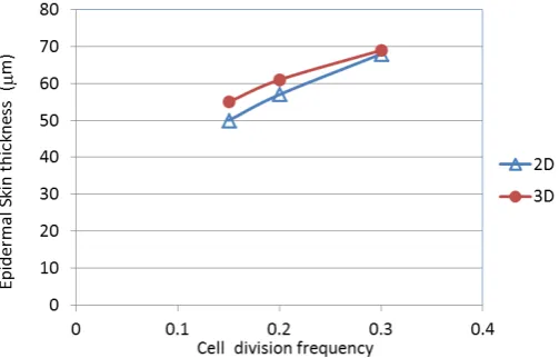 Figure 6. Cell division frequency and epidermal skin thickness. 