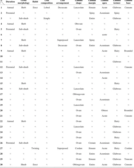 Table A1. Macromorphological characters of the studied taxa. 