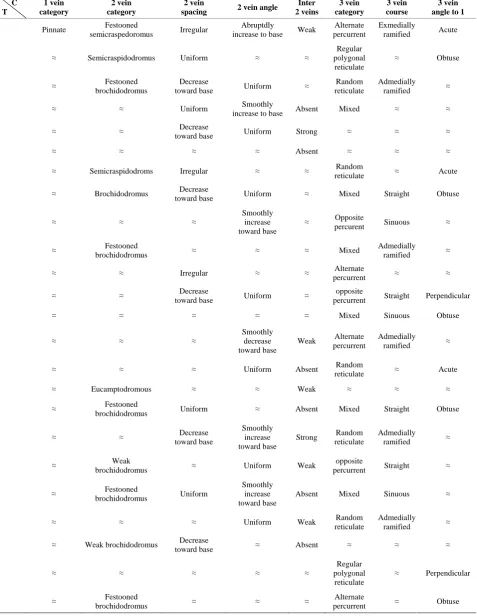 Table A4. Lamina vein architecture of the studied taxa. 