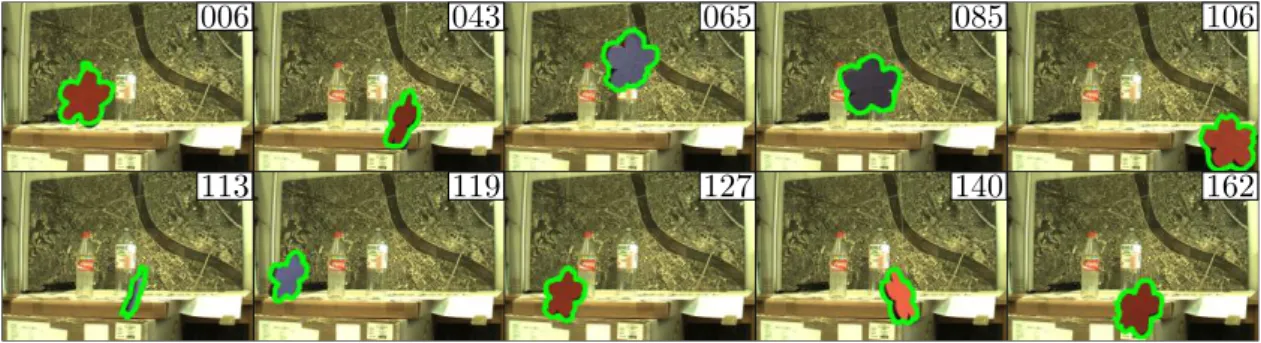 Figure 1.1: Representative frames (numbers t in the top right corners) of the tracking results for the image sequence.