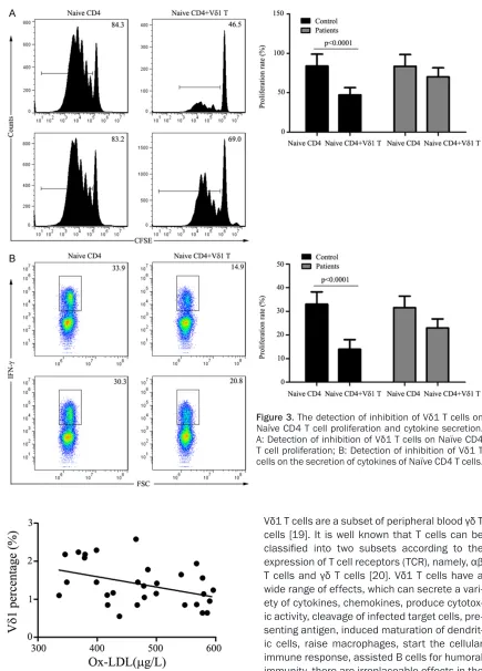 Figure 3. The detection of inhibition of Vδ1 T cells on Naïve CD4 T cell proliferation and cytokine secretion