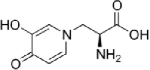 Fig -1: Leucaena-leucocephala de wit (subabul). 