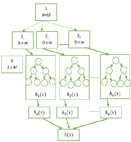 Fig 2.  Process of the construction of the RF algorithm 