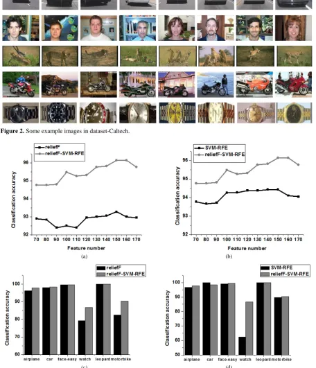 Figure 2. Some example images in dataset-Caltech.  