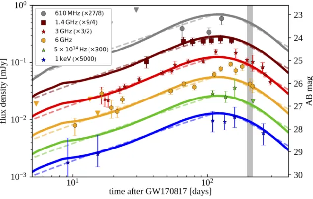 Fig.  3.  Multiwavelength  light  curve.  Up  to  date  multi-wavelength  light  curve  of  the  target  source  GRB  170817A